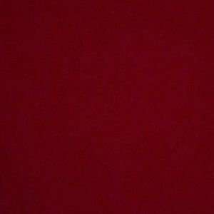 Meet your Posher, Riley